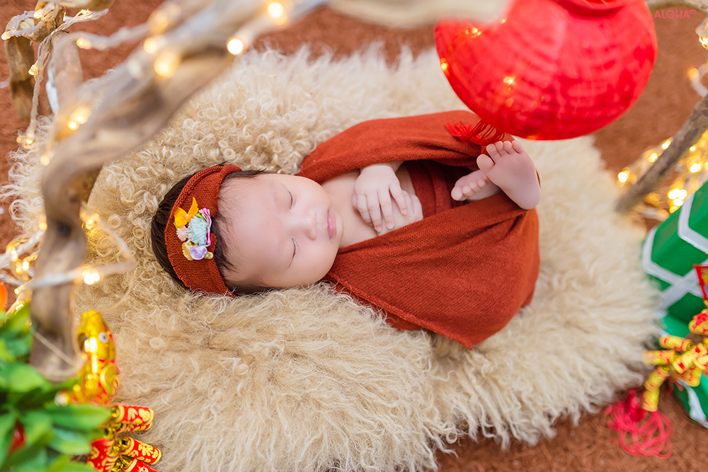 album ảnh newborn 14